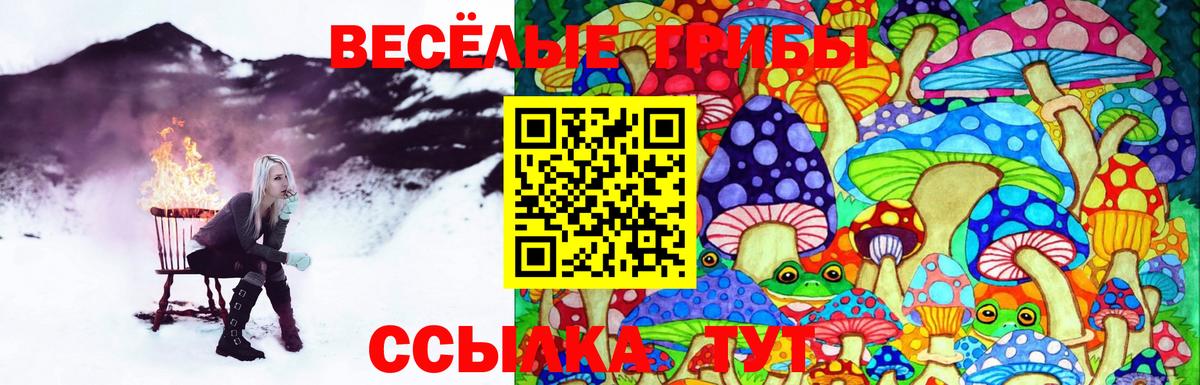 Семилуки  Галлюциногенные грибы Psilocybe  Вход с VPN 